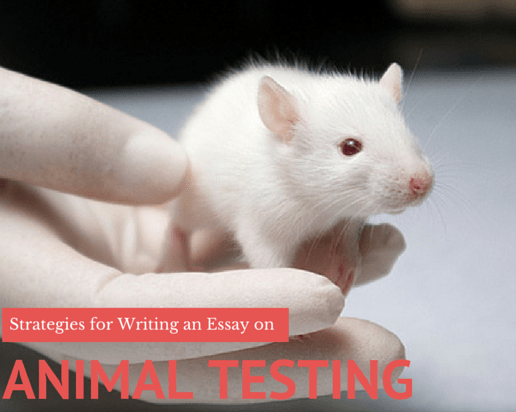 Strategies for Writing an Animal Testing Essay